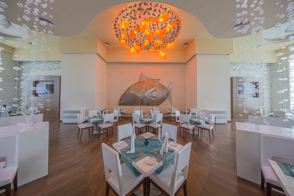 Royalton Splash Punta Cana| Paquete con vuelo incluido